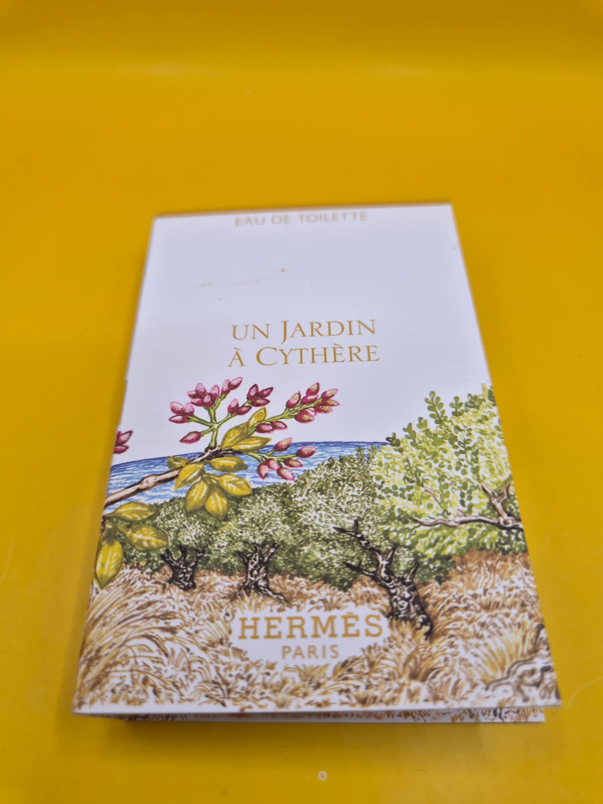 Un Jardin à Cythère